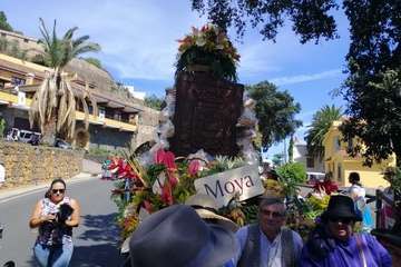 Romería ofrenda a la Virgen del Pino (Foto TA y Antonio Alí)